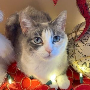 Meet your Posher, Suzanne